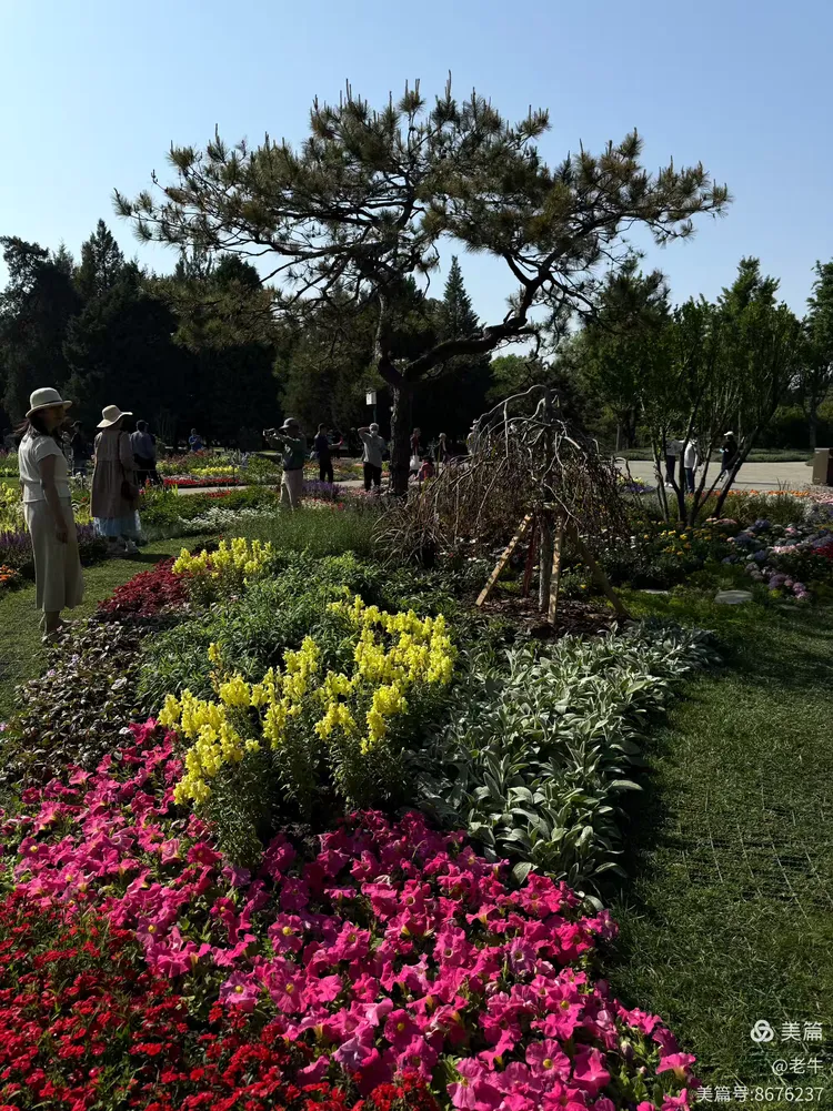 天坛百花园:五一的繁花之约